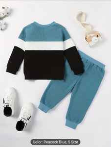 Conjunto de Sudadera Unisex para Niños, Mezcla de Algodón, Colores Personalizados, Alta Calidad, Pantalones Deportivos Cómodos e Informales con Puños, Bloques de Color, Felpa - Product Image 6