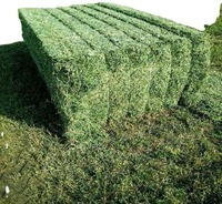Cubes de foin d'alfalfa de qualité alimentaire certifiée Premium, 100% naturel, riche en protéines, 2% d'humidité, durée de conservation de 2 ans, pour chevaux, chiens, poissons, porcs