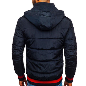 2025 Factory Wholesale Custom Logo Men Coated Puffer Jacket High Quality Fabric New Fashionable <b>Stand</b> Hooded Reasonable Price - Product Image 5