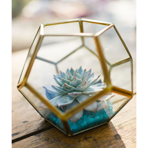 Nouveau terrarium de conception géométrique de qualité de luxe avec verre pour la décoration de la maison et du jardin personnalisable pour la décoration de la maison - Product Image 4