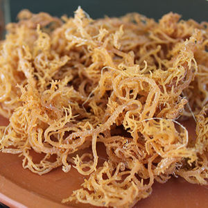 Mousse de couture séchée à meilleur prix mousse de mer irlandaise séchée mousse de mer dorée - Product Image 1