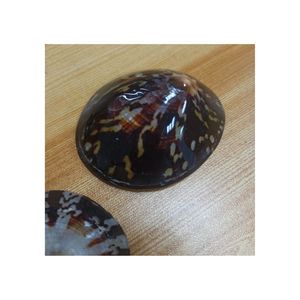PRECIO A GRANEL CARACOL SEASHELL SOUVENIR LIMPET SHELL ARTESANÍA HECHO EN VIETNAM LISTO PARA ENVIAR - Product Image 1