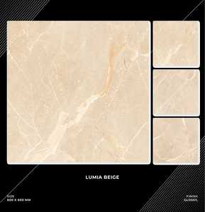 Finition brillante Carreaux de sol en porcelaine 600*600mm Décoration murale de style bois rustique antidérapant pour les villas à usage résidentiel commercial - Product Image 2