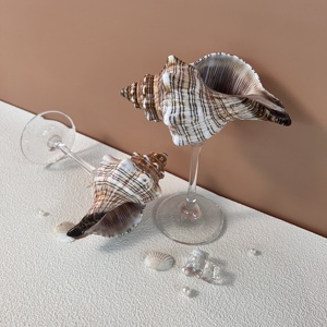 Conque écologique fait à la main coquille verre à vin créativité polissage conception de coquille de mer pour les mariages de plage gobelet tasse - Product Image 4