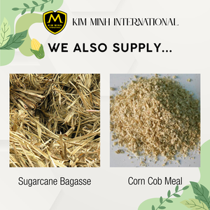 Ensilaje de maíz al mejor precio, alta calidad para alimentación animal en Vietnam - Product Image 5