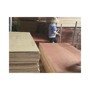 Good Price Packing Plywood Sheet Wide Application Mr Glue Custom Size Custom Packing Asian Manufacturer