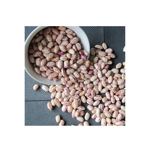 Haricots mouchetés légers de haute qualité à vendre à des prix abordables, idéaux pour des repas sains et de délicieuses recettes - Product Image 2