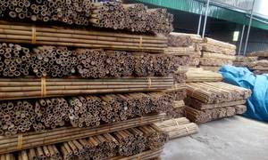 Hot Top Durable Vietnam Factory and 100% Raw Material Bamboo Pole With Customized Size - Product Image 4