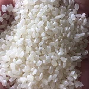 Japonica Riz | Whatsapp: + 84.865.381.935 (Mme Kathy) - Product Image 4