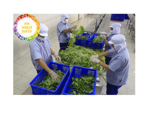 Hoja de yuca congelada IQF para cocina africana y procesamiento de alimentos Suministro de hojas tropicales verdes Premium de Vietnam - Product Image 4