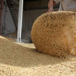 Aliments pour animaux Farine de soja Produit agricole spécifique à la volaille - Product Image 6