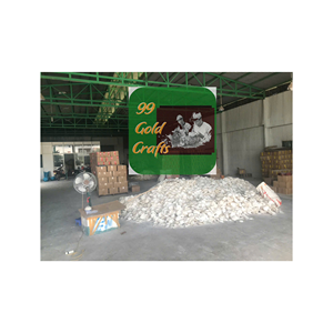 VENTES EN GROS RESSOURCES NATURELLES COQUILLES DE PÊTEAUX DES PLAGES POUR CADEAU NATURE BEAUTÉ COULEUR AVEC HAUTE QUALITÉ FABRIQUÉ AU VIETNAM - Product Image 4