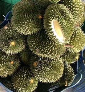 Durian congelé Durian frais du Vietnam Qualité supérieure et meilleur prix fournisseur - Product Image 5