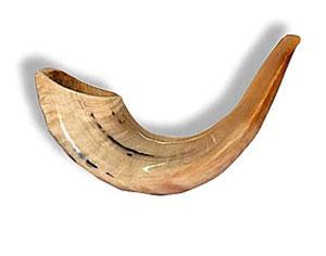 Cuerno de Shofar de Carnero Natural Pulido - Decoración Religiosa Ecológica para el Hogar de Alta Calidad - Product Image 2