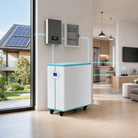 Sistema de Almacenamiento de Energía Solar para el Hogar con Batería de Litio-Ferrofosfato (LiFePO4) con Ruedas, 51.2V 300Ah 15.36kWh, con WiFi, Suministro Directo de Fábrica