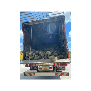 ทุเรียนแช่แข็งทั้งหมดแบบพรีเมี่ยมจากเวียดนามแพ็คสุญญากาศไร้เมล็ดผลไม้แปรรูปจากธรรมชาติรสชาติครีมหวานธรรมชาติส่งออกจำนวนมาก - Product Image 5