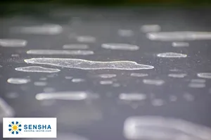 Giấy Nhám Loại 8000 (275Mm X 230Mm) Của SENSHA - Product Image 4