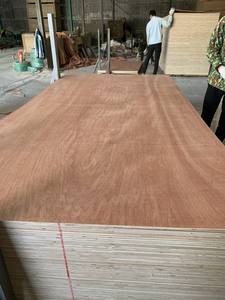 ไม้อัดธรรมดา 1220x2440 มม. หนา 9/12/15/18/25 มม. ไม้อัดเคลือบผิวสำเร็จรูปสำหรับเฟอร์นิเจอร์ ไม้อัดดิบ - Product Image 4