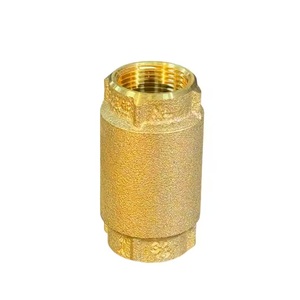 Durable High-Temperature Brass Check <b>Valve</b> for General Application for All Environments - Product Image 5