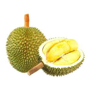 Export-Ready <b>Durian</b> with Peak Flavor - Product Image 5