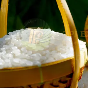 Ronde Witte Japonica Rijst Concurrerende Prijs Rechtstreeks Geëxporteerd Uit Vietnam