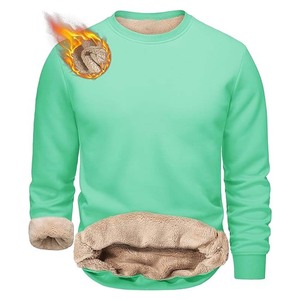 Hombres Sólido Cuello Redondo Fleece Algodón Logotipo Personalizado Verde Claro Sudaderas & Jumper - Product Image 3