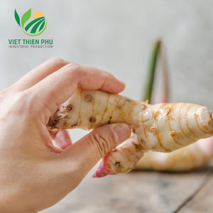 Chất Lượng Cao Đông Lạnh Galangal/Galangal 100% Tự Nhiên Gừng Rau Tươi Iqf Chế Biến Giá Thấp Từ Việt Nam - Product Image 6