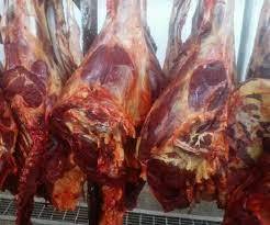Carne de Caballo Entera Congelada Orgánica Premium de Canadá con 12 Meses de Vida Útil en Venta - Product Image 5