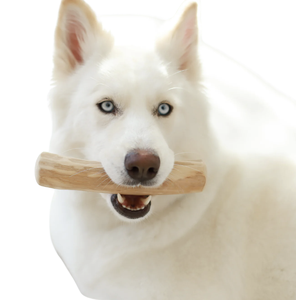 Jouet à mâcher pour chien en bois de café naturel de qualité supérieure pour les marques de produits écologiques pour animaux de compagnie - Product Image 4