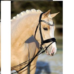 Bride de cheval avec bande de front de mode Bride de haute qualité avec bande de front exclusive NEW Horse Black fantaisie Leather Bridle - Product Image 6