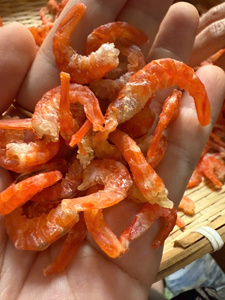 Top Quality Vietnam <b>Dried</b> <b>Shrimp</b> <b>Wholesale</b> Seafood Factory Supply - Product Image 6