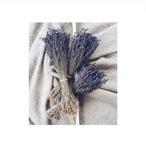 Flores secas de lavanda de 16 pulgadas, productos de fragancia para el hogar, manojo de lavanda seca para decoraciones del hogar, fotografía de fiesta de boda - Product Image 1