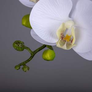 Flores Artificiales de Orquídeas Artificiales, Centros de Mesa de Oficina, Decoración de Interior, a Bajo Precio, a Bajo Precio, a la Moda, para el Hogar - Product Image 3