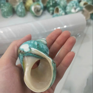 Coquillage Décoratif Océan Coquillages Vietnam Fabriqué Pour Table Affichage Aquarium Et Chambre Décor Coquillage Artistique Marine Artisanat - Product Image 5