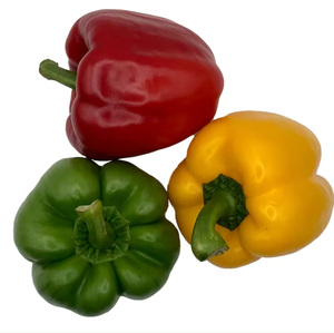 Vente en gros de poivrons verts frais de qualité supérieure sélectionnés Emballage en boîte avec saveur douce - Product Image 6