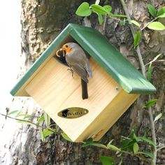 Casas de pájaros rústicas de madera artesanales para jardines que ofrecen espacios de anidación seguros con materiales resistentes a la intemperie - Product Image 6