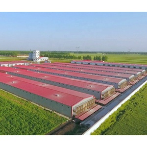 Chất Lượng Cao Hoàn Chỉnh Hiện Đại Trang Trại Thiết Kế Thân Thiện Với Môi Ánh Sáng Kết Cấu Thép Điều Khiển Tự Động Gia Cầm Nhà Gà Trang Trại - Product Image 1