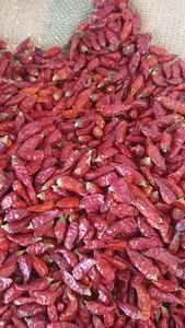 Chile Rojo Redondo / Pimiento / Lal Mirch - Especias Naturales de Pakistán de la Mejor Calidad - Product Image 2