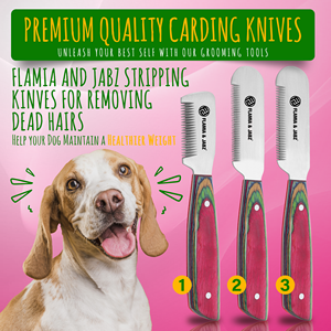 Flamia esencial Mango Verde grande madera respetuoso con el medio ambiente perro pelar Terriers peine eficaz herramienta de aseo para mascotas - Product Image 2