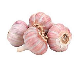 Ail frais blanc pur normal - Product Image 3