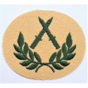 Écusson brodé à repasser avec logo d'escadron - Product Image 3