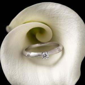 Jeulia Minimalist Brushed Round Cut Bamboo Promise Fashion <b>Ring</b> - Product Image 4