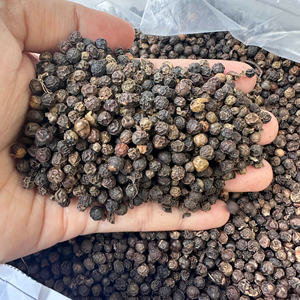 Vietnam Herbes et épices Poivre noir 500, 550, 570g/l faq & Asta Standard Grand goût Poivre noir pour l'exportation/ANNA DO - Product Image 2