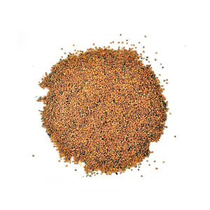 Huile de support de roquette rucola pressée à froid de haute qualité pour les soins de la peau au prix de gros - Product Image 1