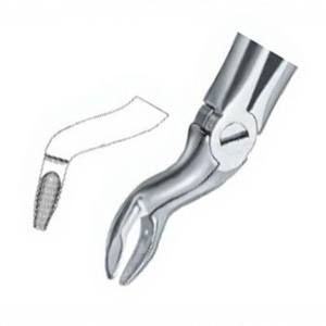 Forceps d'extraction de dents Fig57 B meilleure qualité logo personnalisé produits Instruments dentaires en acier inoxydable - Product Image 3
