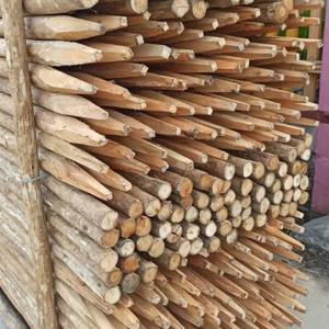 El mejor precio de las pilas de eucalipto utilizadas en el jardín - Product Image 4