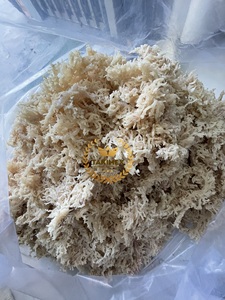 Musgo Marino Seco al por Mayor, Musgo Marino Natural Premium, Musgo Marino Silvestre Puro, Sin GMO, Sin Gluten, Exportación de Vietnam - Product Image 2