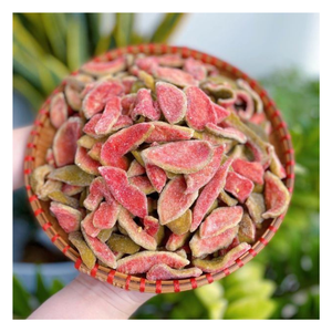 Dulce y picante suave secado guayaba Premium Vietnam Snack suave secado guayaba fruta tropical natural sabor sabroso para compradores globales - Product Image 2