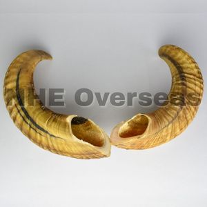 Cuerno de carnero natural Masticables para perros Seguro No tóxico Saludable Larga duración Todas las golosinas naturales para masticar para perros - Product Image 1