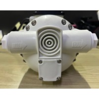 Pompes à diaphragme auto-amorçantes sans balais à aimant permanent en acrylique 110V 220V AC 40-50 lpm pour l'industrie et la métallurgie
